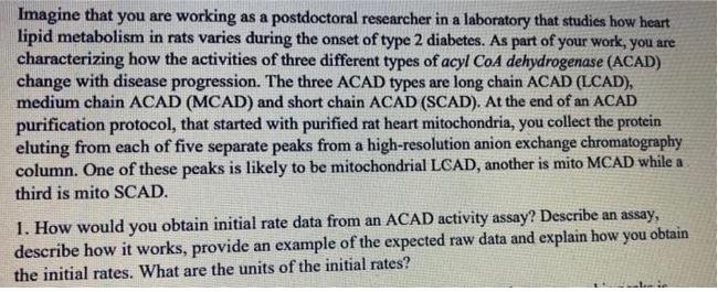 Imagine That You Are Working As A Postdoctoral Researcher In A Laboratory That Studies How Heart Lipid Metabolism In Rat 1