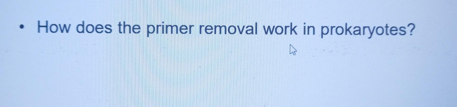 How Does The Primer Removal Work In Prokaryotes 1