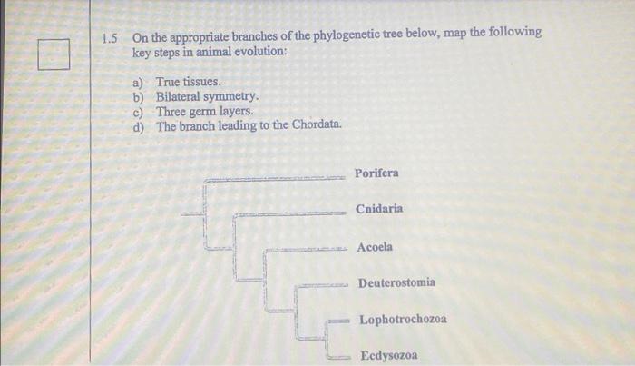 1 5 On The Appropriate Branches Of The Phylogenetic Tree Below Map The Following Key Steps In Animal Evolution A True 1