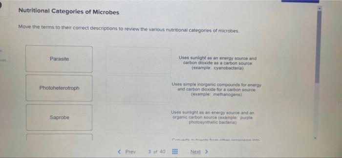 Nutritional Categories Of Microbes Move The Terms To Their Correct Descriptions To Review The Various Nutritional Catego 1