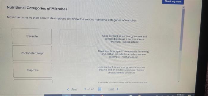 Nutritional Categories Of Microbes Move The Terms To Their Correct Descriptions To Review The Various Nutritional Catego 2