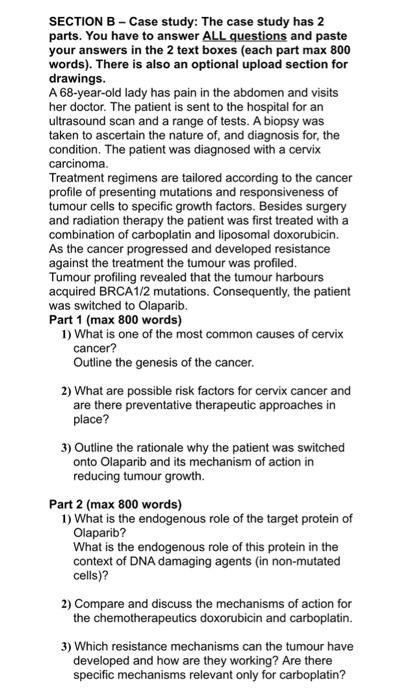 Section B Case Study The Case Study Has 2 Parts You Have To Answer All Questions And Paste Your Answers In The 2 Text 1
