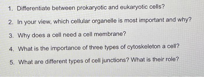 Please Solve These Questions 1