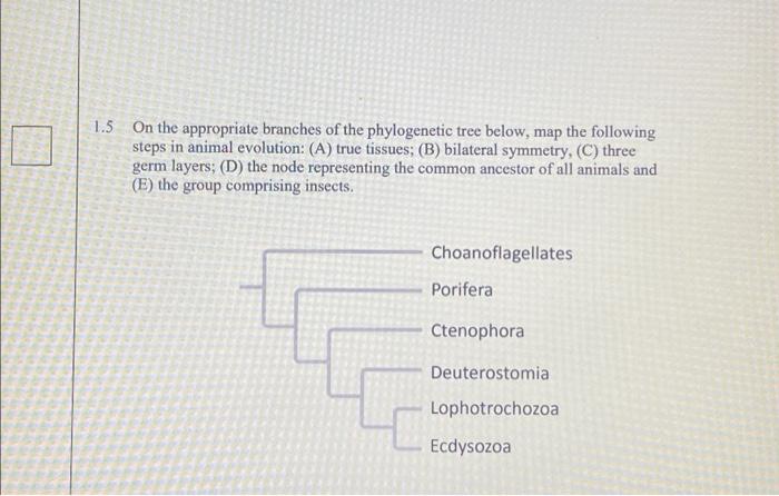 1 5 On The Appropriate Branches Of The Phylogenetic Tree Below Map The Following Steps In Animal Evolution A True Ti 1