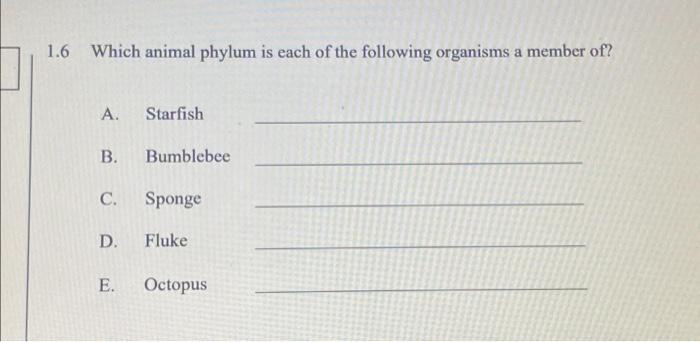 1 6 Which Animal Phylum Is Each Of The Following Organisms A Member Of A A Starfish B Bumblebee C Sponge D Fluke E 1