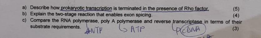 A Describe How Prokaryotic Transcription Is Terminated In The Presence Of Rho Factor 5 B Explain The Two Stage React 6