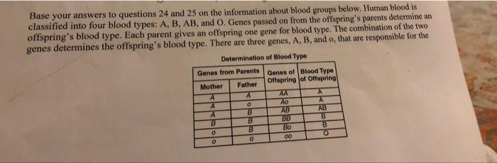 Base Your Answers To Questions 24 And 25 On The Information About Blood Groups Below Human Blood Is Classified Into Fou 1