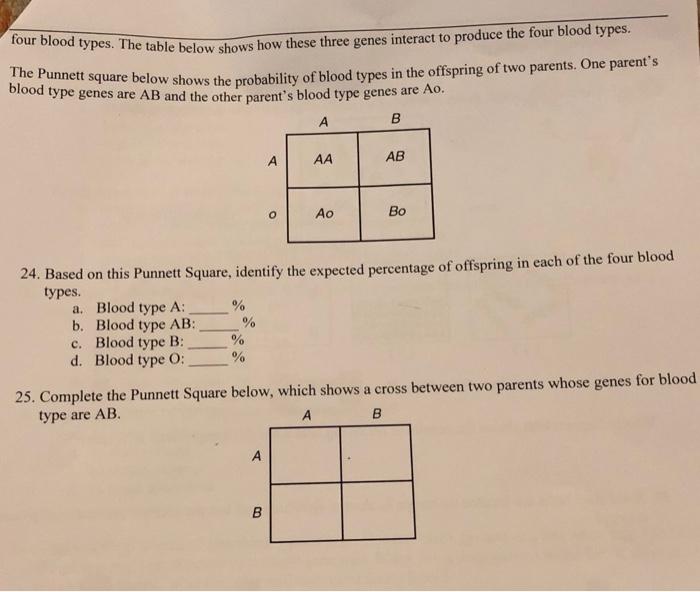 Base Your Answers To Questions 24 And 25 On The Information About Blood Groups Below Human Blood Is Classified Into Fou 2