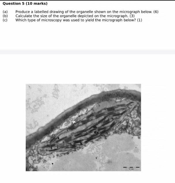 Question 5 10 Marks A Produce A Labelled Drawing Of The Organelle Shown On The Micrograph Below 6 B Calculate T 1