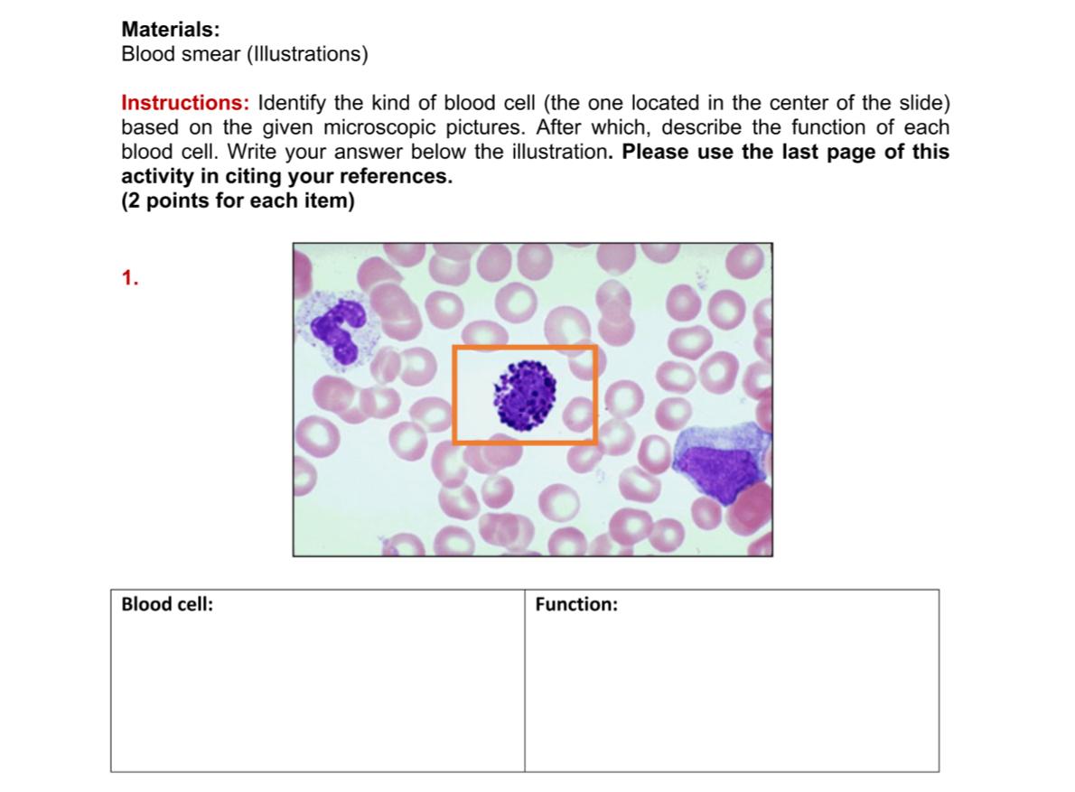 Materials Blood Smear Illustrations Instructions Identify The Kind Of Blood Cell The One Located In The Center Of T 1