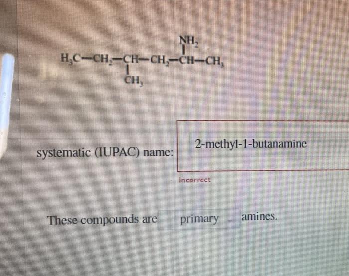 Nh H C Ch Ch Ch Ch Ch Ch 2 Methyl 1 Butanamine Systematic Iupac Name Incorrect These Compounds Are Primary Amines 1