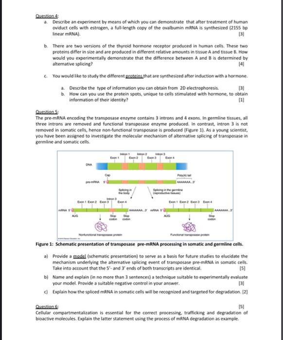 Question 4 A Describe An Experiment By Means Of Which You Can Demonstrate That After Treatment Of Human Oviduct Cells Wi 1