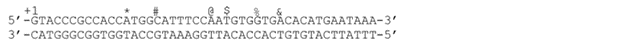 Based On What You Ve Learned About Transcription And Translation And Given The Following Gene Sequence Identify The Temp 1