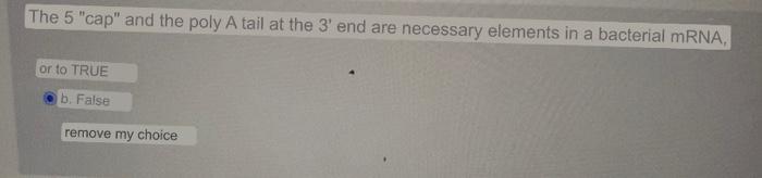 The 5 Cap And The Poly A Tail At The 3 End Are Necessary Elements In A Bacterial Mrna Or To True B False Remove My 1