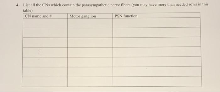 4 List All The Cns Which Contain The Parasympathetic Nerve Fibers You May Have More Than Needed Rows In This Table Cn 3