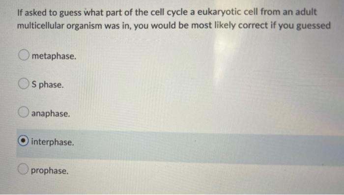 If Asked To Guess What Part Of The Cell Cycle A Eukaryotic Cell From An Adult Multicellular Organism Was In You Would B 1