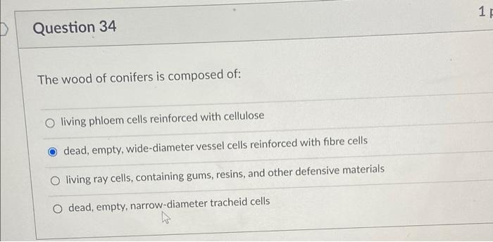 1 F Question 34 The Wood Of Conifers Is Composed Of O Living Phloem Cells Reinforced With Cellulose Dead Empty Wide D 1