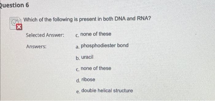 Question 6 Which Of The Following Is Present In Both Dna And Rna 1x Selected Answer C None Of These Answers A Phosp 1