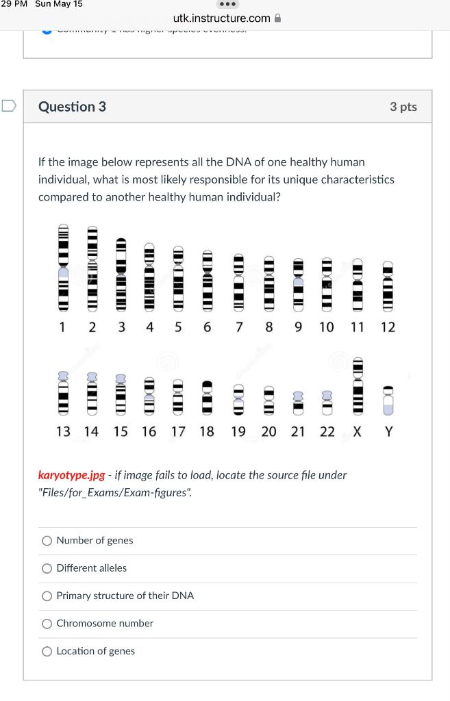 29 Pm Sun May 15 Utk Instructure Com Correly Hili Lillle Question 3 3 Pts If The Image Below Represents All The Dna 1