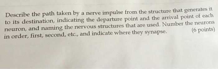 Describe The Path Taken By A Nerve Impulse From The Structure That Generates It To Its Destination Indicating The Depar 1