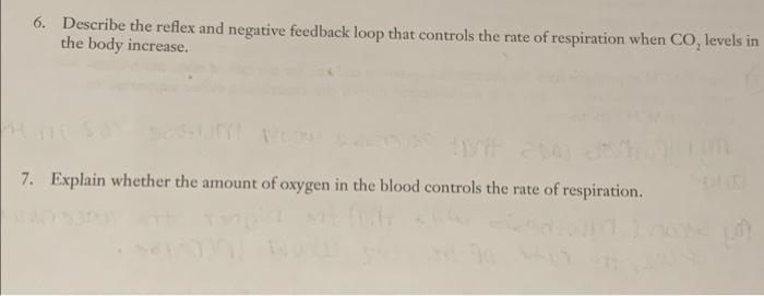 5 Describe How Your Data Shows That Increasing The Co In The Body Increases The Rate Of Respiration 6 Describe The R 3