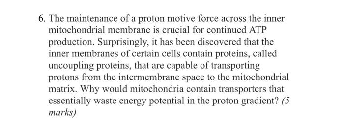 6 The Maintenance Of A Proton Motive Force Across The Inner Mitochondrial Membrane Is Crucial For Continued Atp Product 1