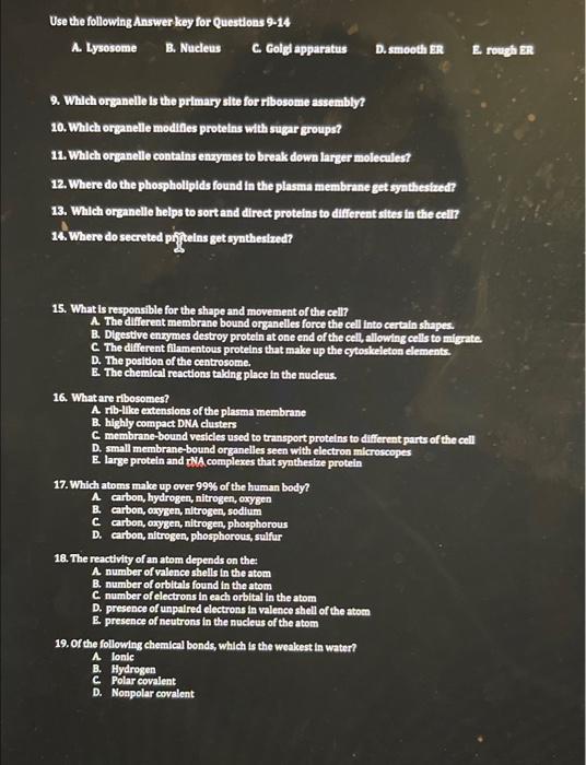 Use The Following Answer Key For Questions 9 14 A Lysosome B Nucleus C Golgi Apparatus D Smooth Er E Rough Er 9 Whic 1
