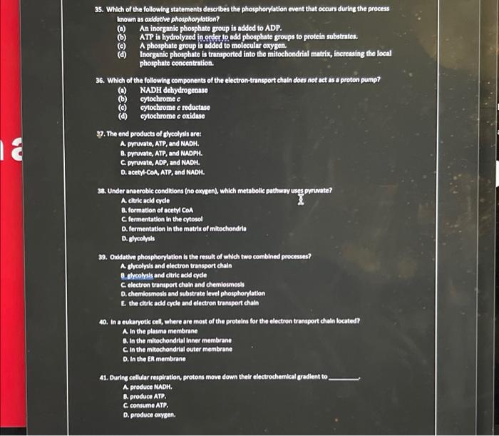 35 Which Of The Following Statements Describes The Phosphorylation Event That Occurs During The Process Known As Oxidat 1
