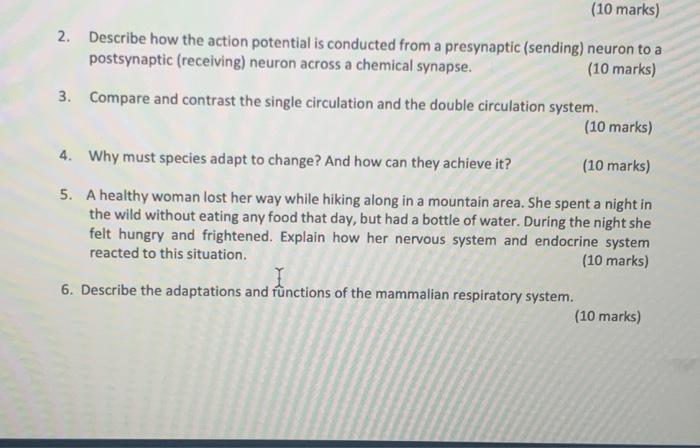 10 Marks 2 Describe How The Action Potential Is Conducted From A Presynaptic Sending Neuron To A Postsynaptic Rece 2
