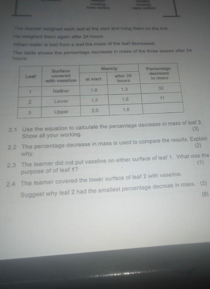 The Later Weighed Each Leaf At The Start And Hung Them On The Line Ho Weighed Them Again After 24 Hours When Water Is Lo 1