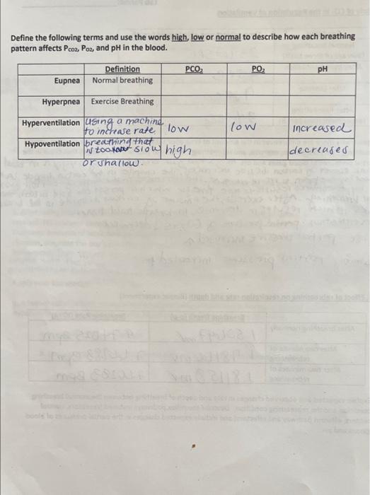 Lab Report 3 7 Acid Base Balance Lab Period A Role Of Co In The Regulation Of Ventilation Time Subject Was Able To 2
