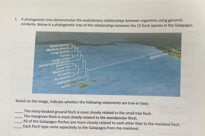 1 A Phylogenetic Tree Demonstrates The Evolutionary Relationships Between Organisms Using Genomic Similarity Below Is 1