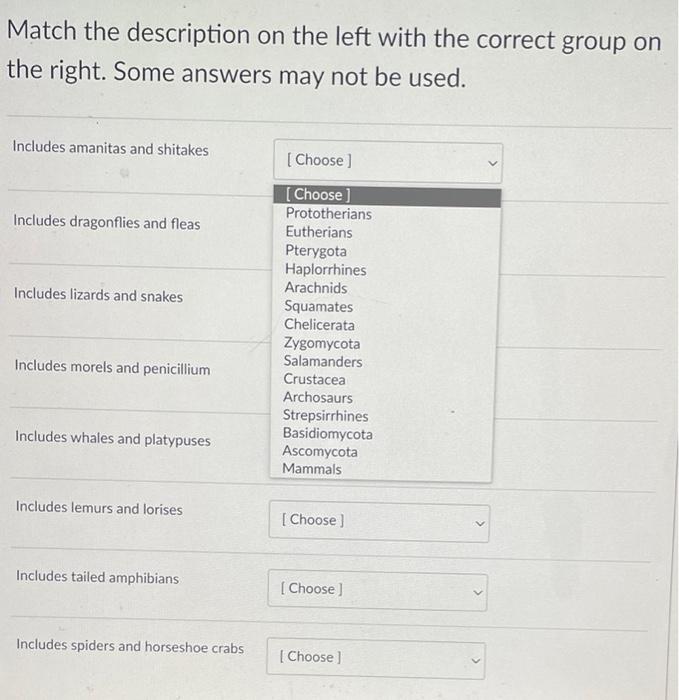 Match The Description On The Left With The Correct Group On The Right Some Answers May Not Be Used Includes Amanitas A 1