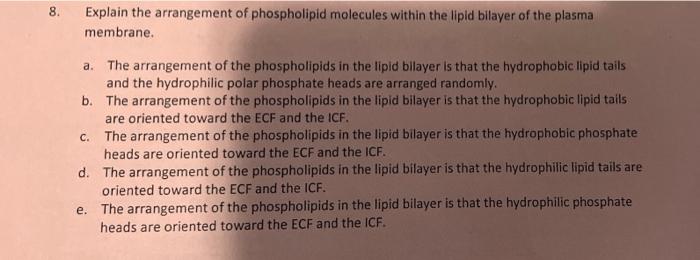 5 Match The Following A Ribosomes B Nucleus C Mitochondria D Smooth Er E Golgi Body Site Of Atp Production During 2