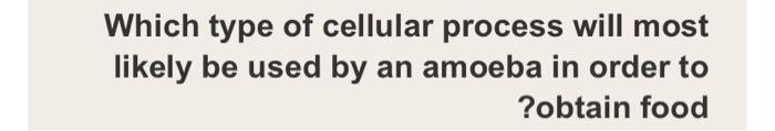 Which Type Of Cellular Process Will Most Likely Be Used By An Amoeba In Order To Obtain Food 1