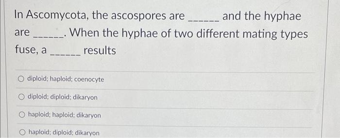 In Ascomycota The Ascospores Are And The Hyphae Are When The Hyphae Of Two Different Mating Types Fuse A Resu 1