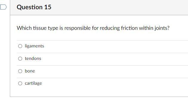 D Question 15 Which Tissue Type Is Responsible For Reducing Friction Within Joints O Ligaments O Tendons Bone Cartilage 1