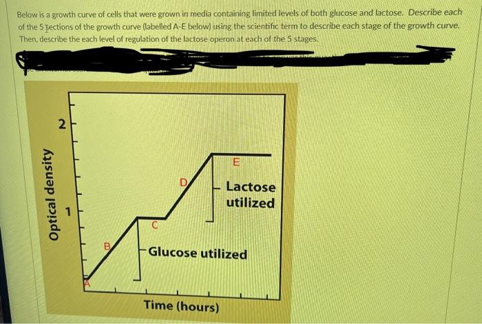 Below Is A Growth Curve Of Cells That Were Grown In Media Containing Limited Levels Of Both Glucose And Lactose Describ 1