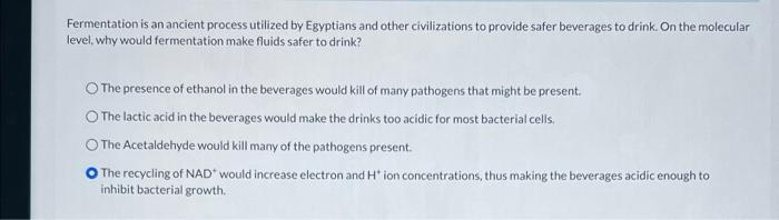 Fermentation Is An Ancient Process Utilized By Egyptians And Other Civilizations To Provide Safer Beverages To Drink On 1