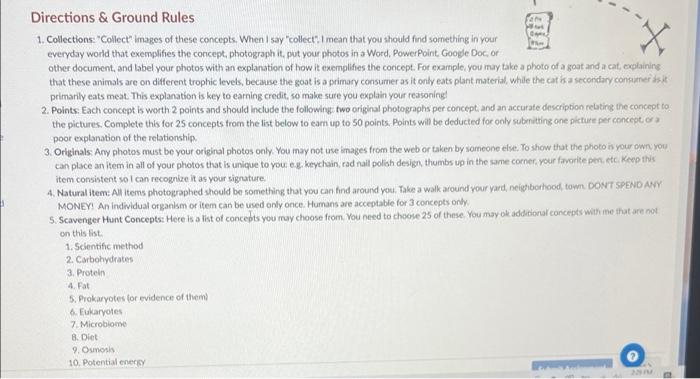 X Directions Ground Rules 1 Collections Collect Images Of These Concepts When I Say Collect I Mean That You Shoul 1