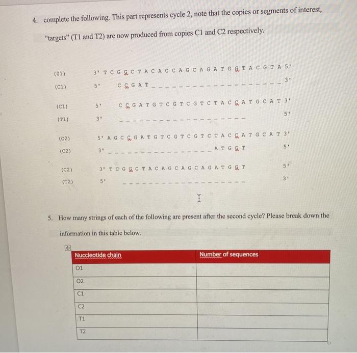 4 Complete The Following This Part Represents Cycle 2 Note That The Copies Or Segments Of Interest Targets T1 And 1