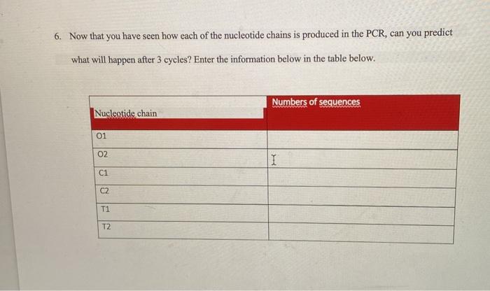 6 Now That You Have Seen How Each Of The Nucleotide Chains Is Produced In The Pcr Can You Predict What Will Happen Aft 1