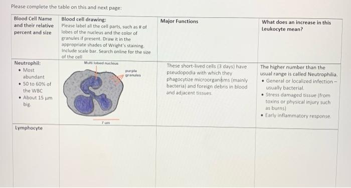 Major Functions What Does An Increase In This Leukocyte Mean Please Complete The Table On This And Next Page Blood Cel 1