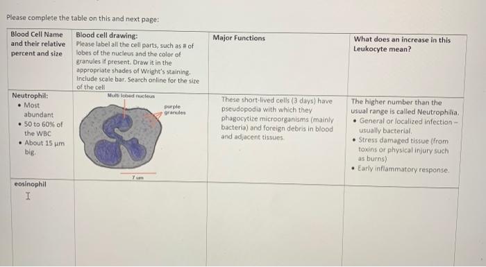 Major Functions What Does An Increase In This Leukocyte Mean Please Complete The Table On This And Next Page Blood Cel 1
