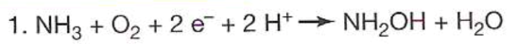 What Number In The Image Corresponds To The Following Reaction Explain In Detail The Reason For Your Choice Eutrophica 2