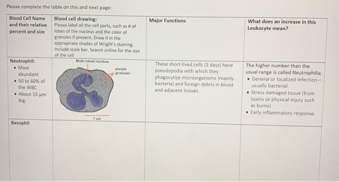 Major Functions What Does An Increase In This Leukocyte Mean Please Complete The Table On This And Next Page Blood Cel 1
