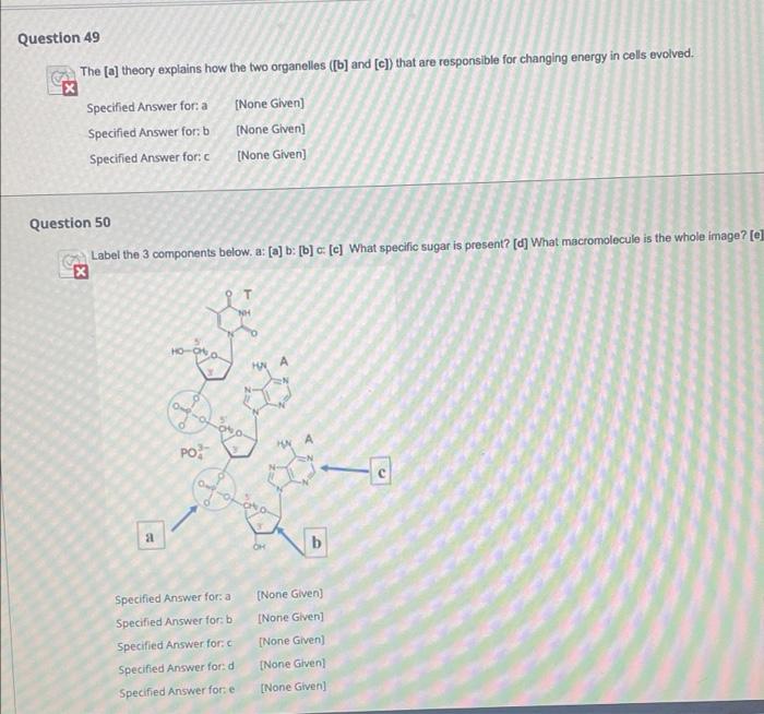Question 45 Isotopes Have The Same Number Of A But A Different Number Of B Specified Answer For A Proton Specifi 2