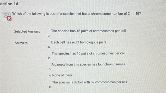 Question 2 During The Light Reactions A H Gradient Is Formed In The And Leads To The Synthesis Of In The Selected Answ 3