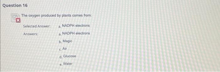 Question 16 The Oxygen Produced By Plants Comes From Selected Answer A Nadph Electrons Answers A Nadph Electrons B 1