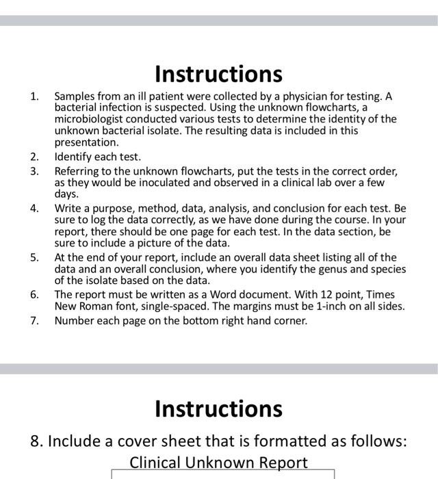 Instructions 1 Samples From An Ill Patient Were Collected By A Physician For Testing A Bacterial Infection Is Suspecte 2
